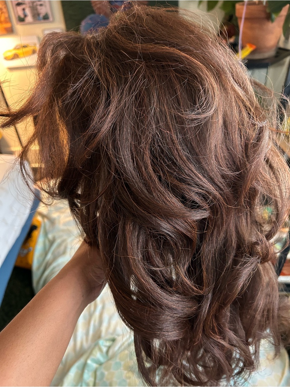 Long Wavy Brown Human Hair Wig - Rich Chocolate Tone - Picture 5 of 7